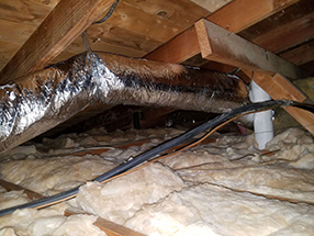 Attic Cleaning and Insulation in California